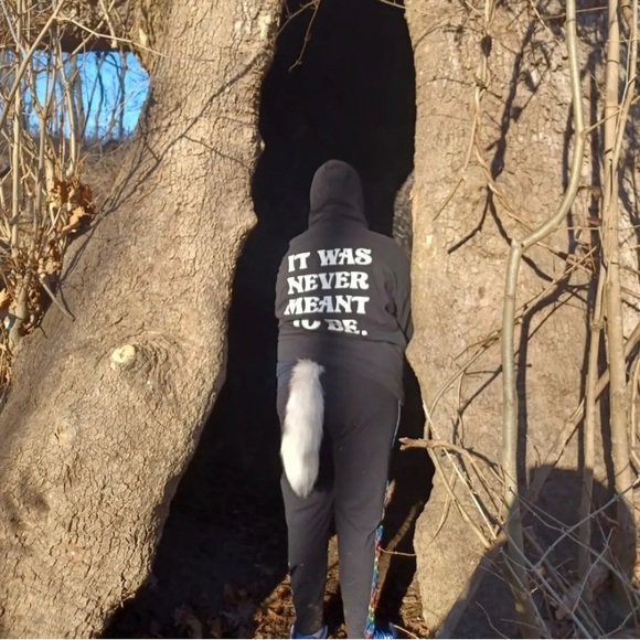 Meet your Posher, Techno - Picture 8 of 17